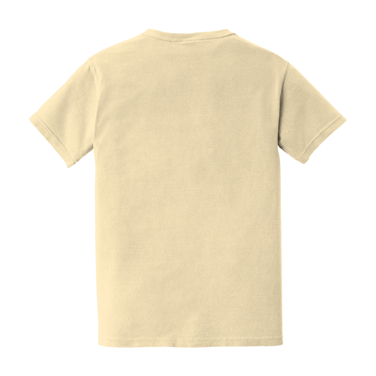 Western Pond Turtle Comfort Colors Heavyweight Pocket T-Shirt - back